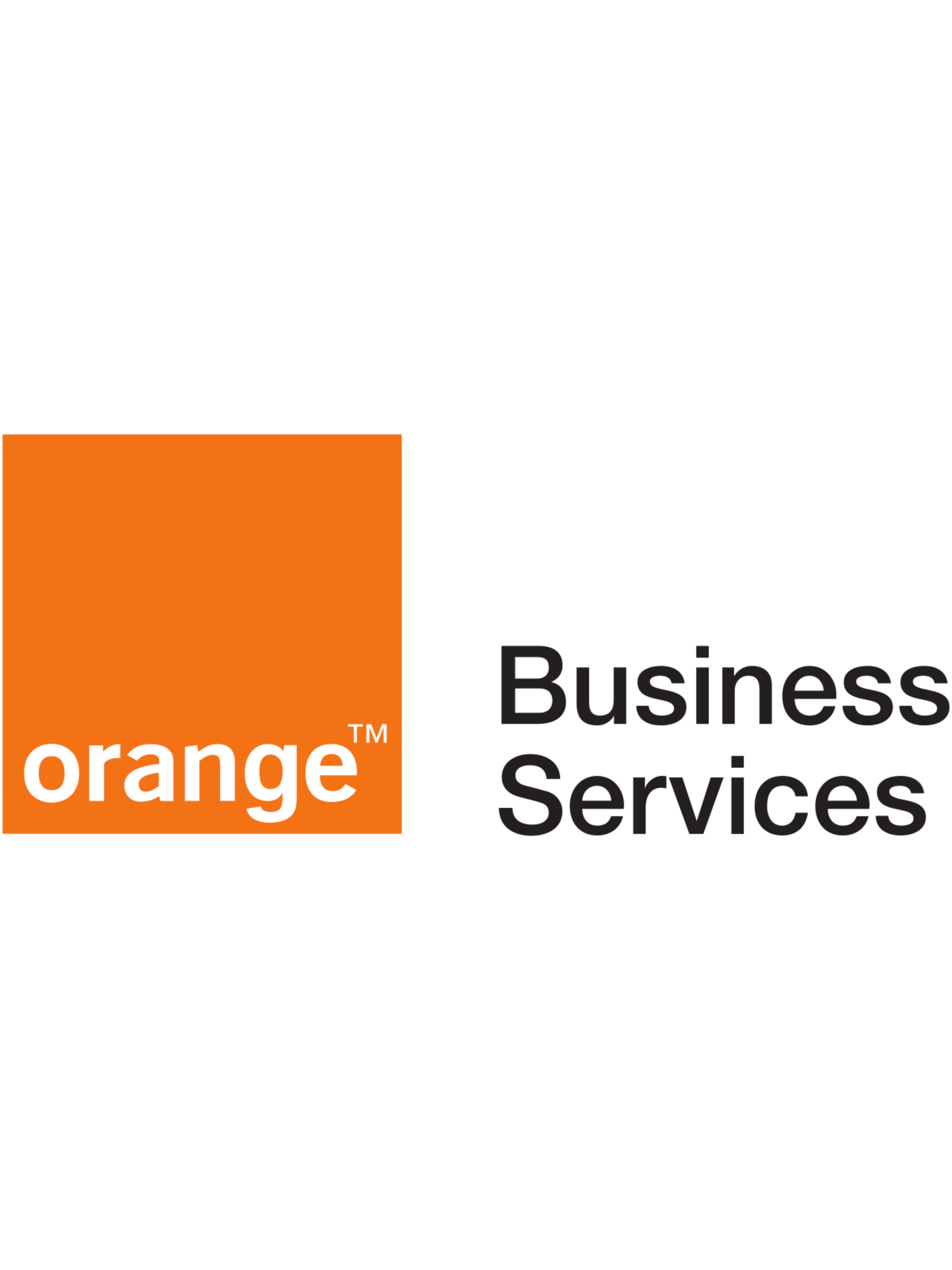 IT & ITES Client 16