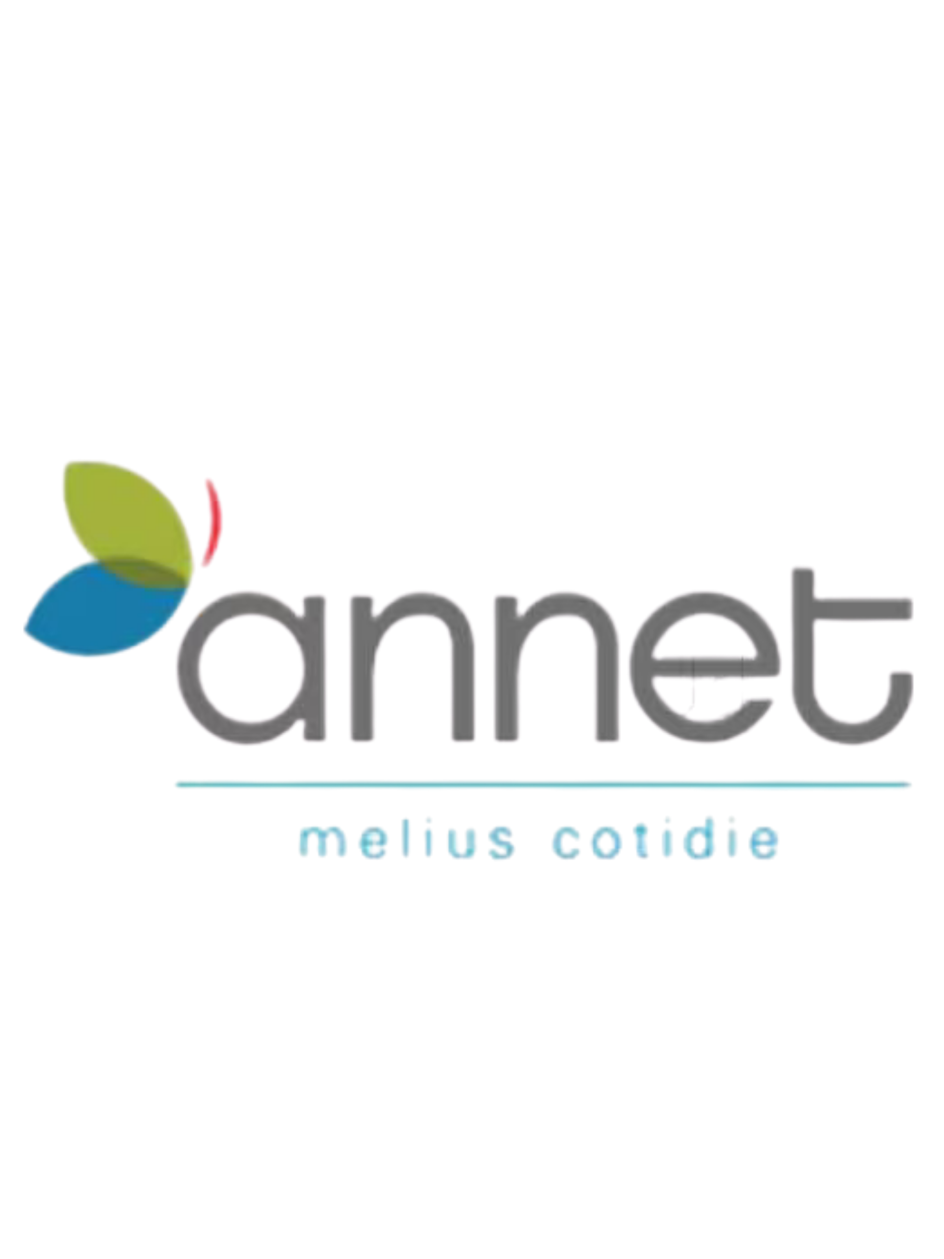 IT & ITES Client 6